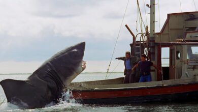 Steven Spielberg detalla el incidente cercano al rodaje de Deadly Jaws debido a un accidente de navegación: "Sácanos"