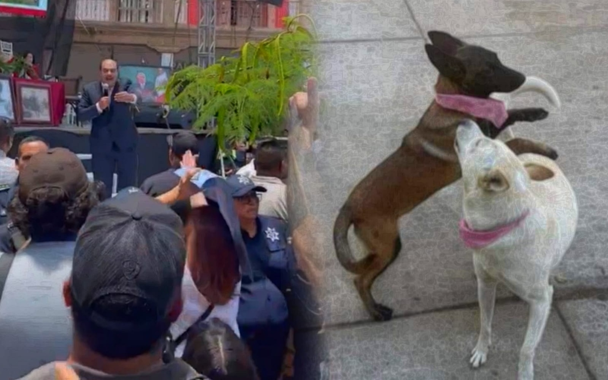 Videos | Gritan 'asesino' al alcalde que mató a dos perros en Michoacán