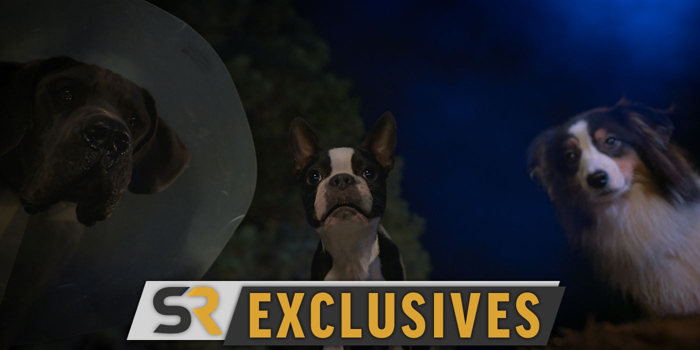 Will Ferrell y Jamie Foxx prueban la valla mágica en el nuevo clip de Strays [EXCLUSIVE]