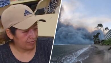 familia hispana se lanza al mar en incendio de Maui