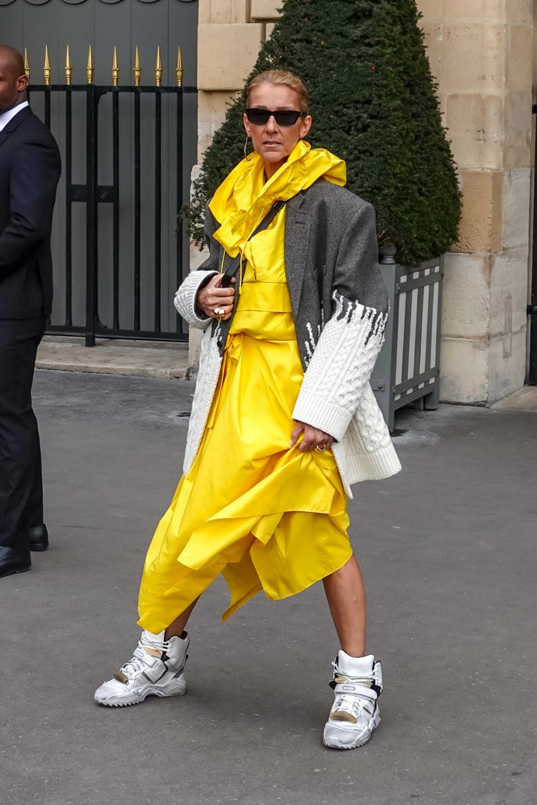 Céline Dion en París / Gtres