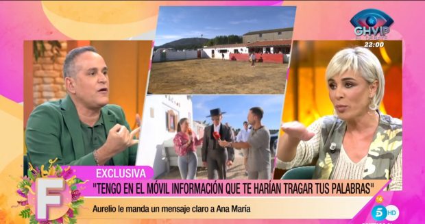 Ana María Aldón en 'Fiesta' / Telecinco