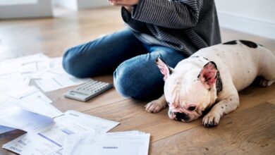 El impacto de la deuda estudiantil en el abandono de mascotas