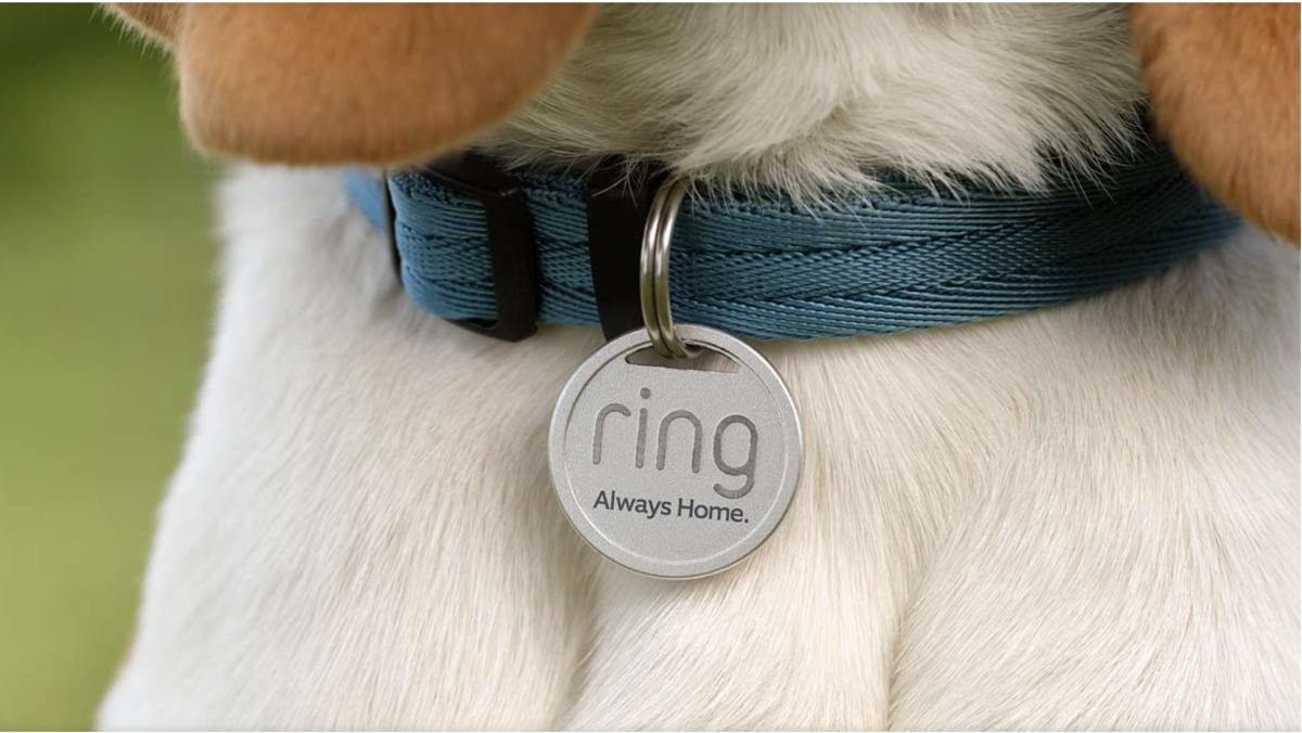 El nuevo accesorio Pet Tag de Ring ayuda a reunir a las mascotas perdidas con sus dueños