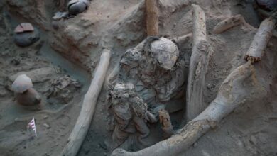 Hallan momias de niños sentados en Perú