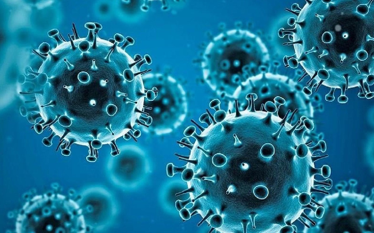 Pirola, nueva variante de coronavirus ¿aumentará los contagios en otoño?