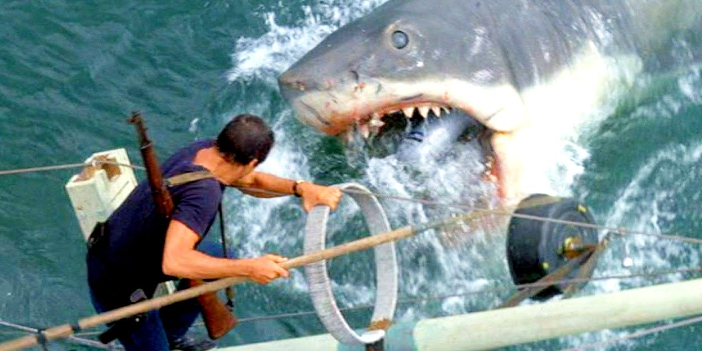 Spielberg básicamente prohibió el color rojo en los sets de Jaws (e hizo que la película fuera más aterradora)