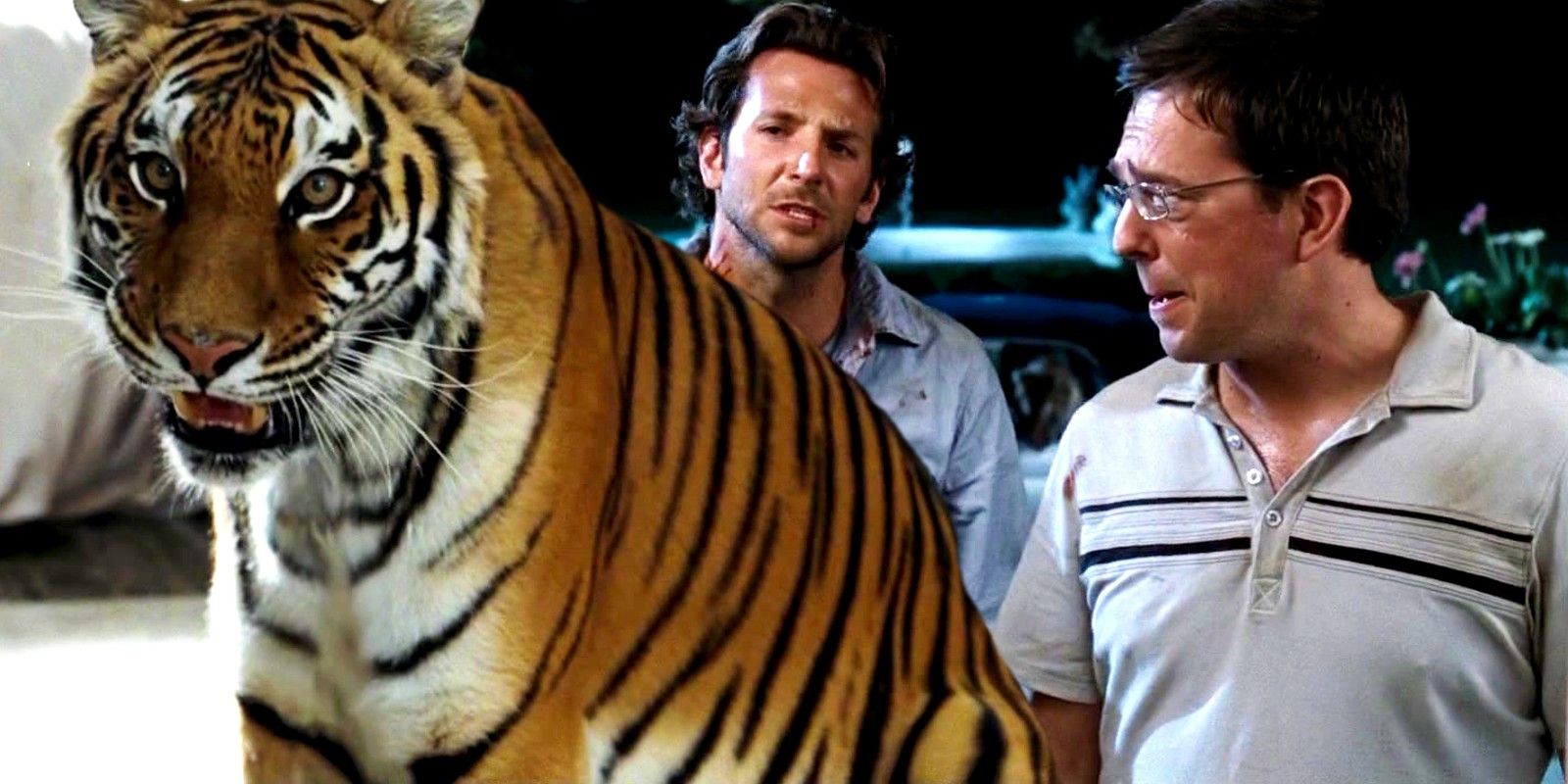 Un experto en grandes felinos revela algunas duras verdades sobre el uso de los tigres durante la resaca