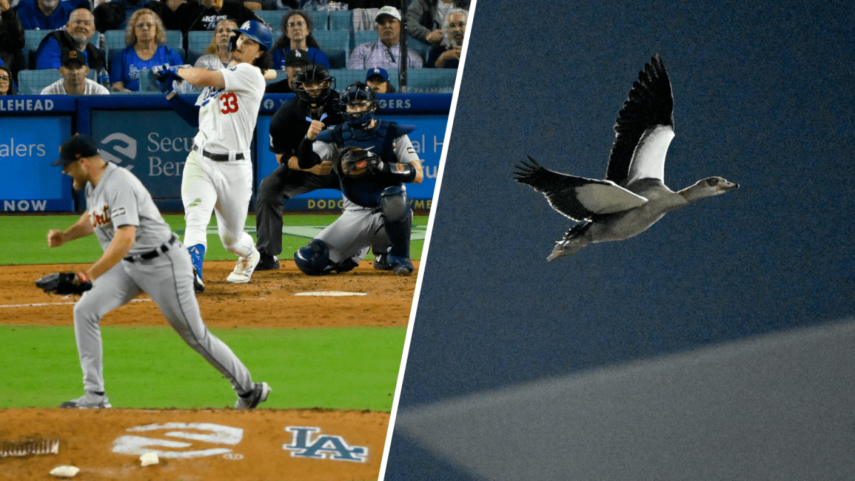 Una burbuja gigante y un ganso salvaje interrumpen brevemente juego entre Dodgers y Tigres