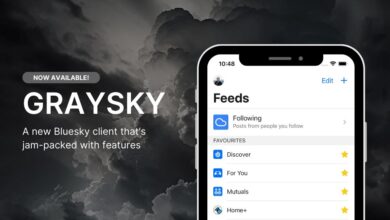 Bluesky obtiene su primera aplicación móvil de terceros con Graysky, que se lanzará a finales de este mes