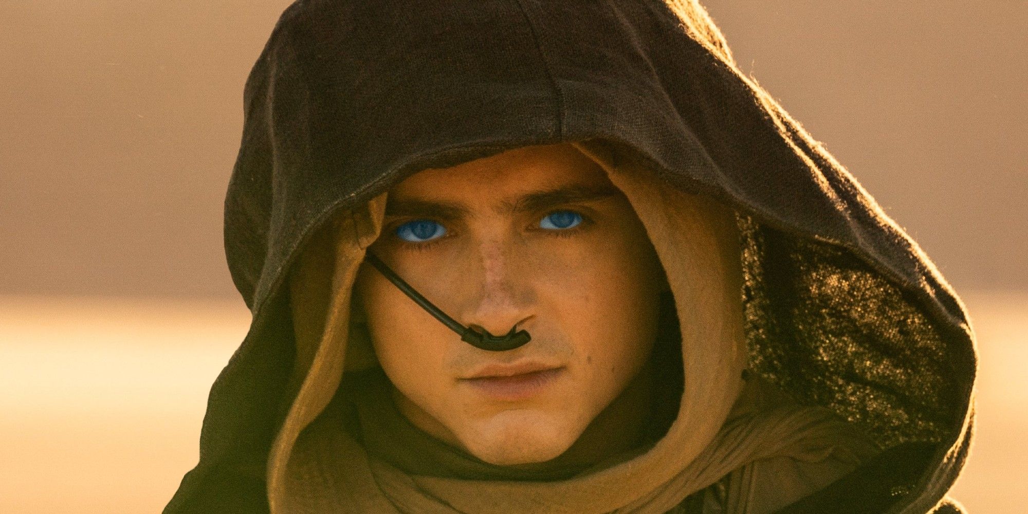 8 escenas de Dune 2 que harán que valga la pena verla en IMAX 70 mm