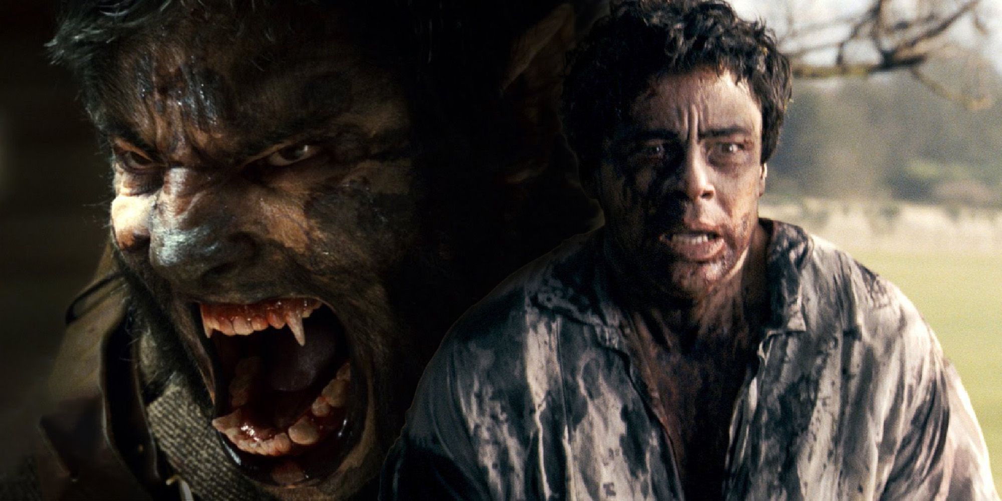 Por qué las películas de terror sobre hombres lobo no son tan populares ahora