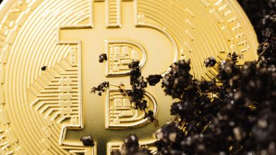 ¿Cuánto cuesta realizar una transacción de Bitcoin?