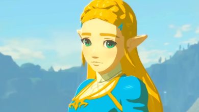 Casting de fans de la película de acción real de Zelda abordado por la estrella de Los Juegos del Hambre y Euforia: "Eso sería genial".