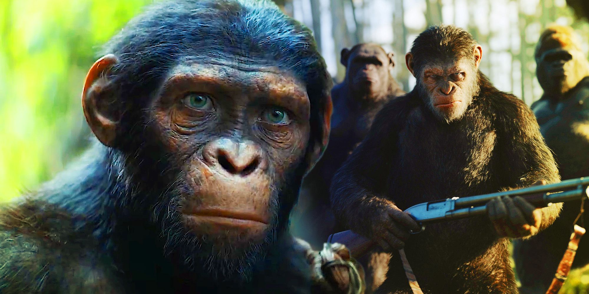Cuándo se ambienta el reino del planeta de los simios en comparación con las otras películas
