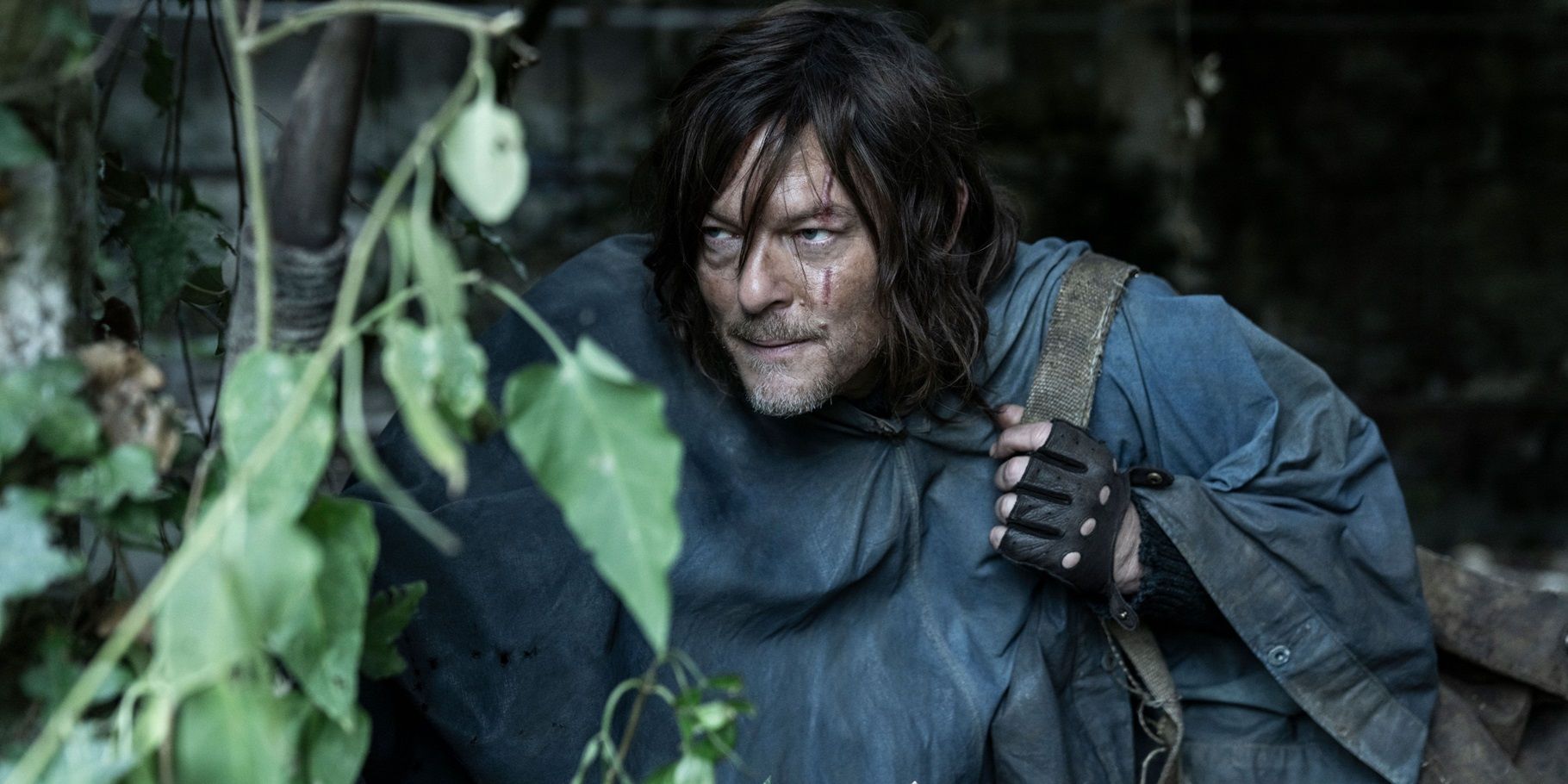 Daryl Dixon se convierte en el programa de Walking Dead mejor calificado en Rotten Tomatoes