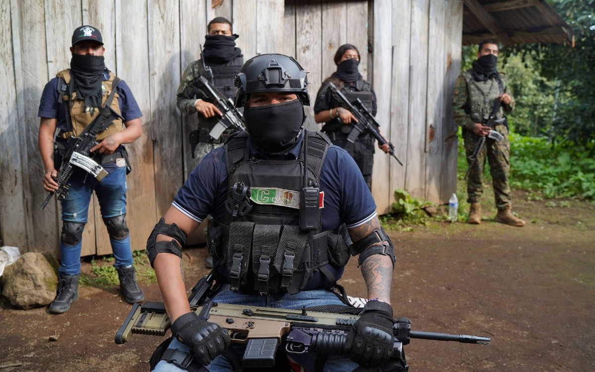 Delincuencia transnacional ha creado una ‘pandemia’ global: Interpol
