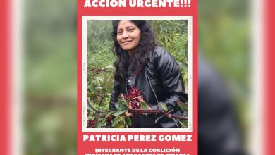 Desaparece Patricia Pérez Gómez, defensora de DDHH indígenas en Chiapas