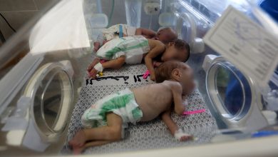 Gaza: Tres bebés prematuros mueren en hospital por falta de electricidad