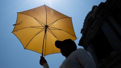 La OMS y la OIT alertan que trabajar al sol causa una de cada tres muertes por carcinoma