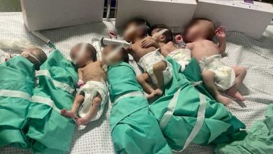 'Nuestros médicos tienen que amputar sin anestesia': Dr. Barghouti en Gaza
