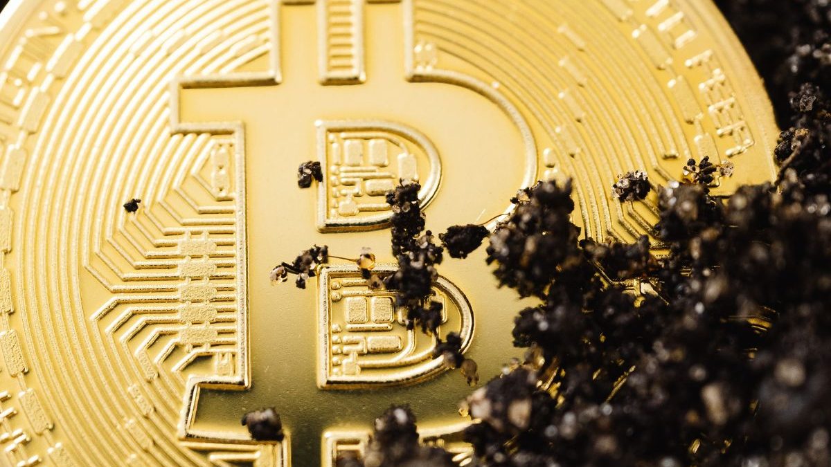 ¿Cuánto cuesta realizar una transacción de Bitcoin?