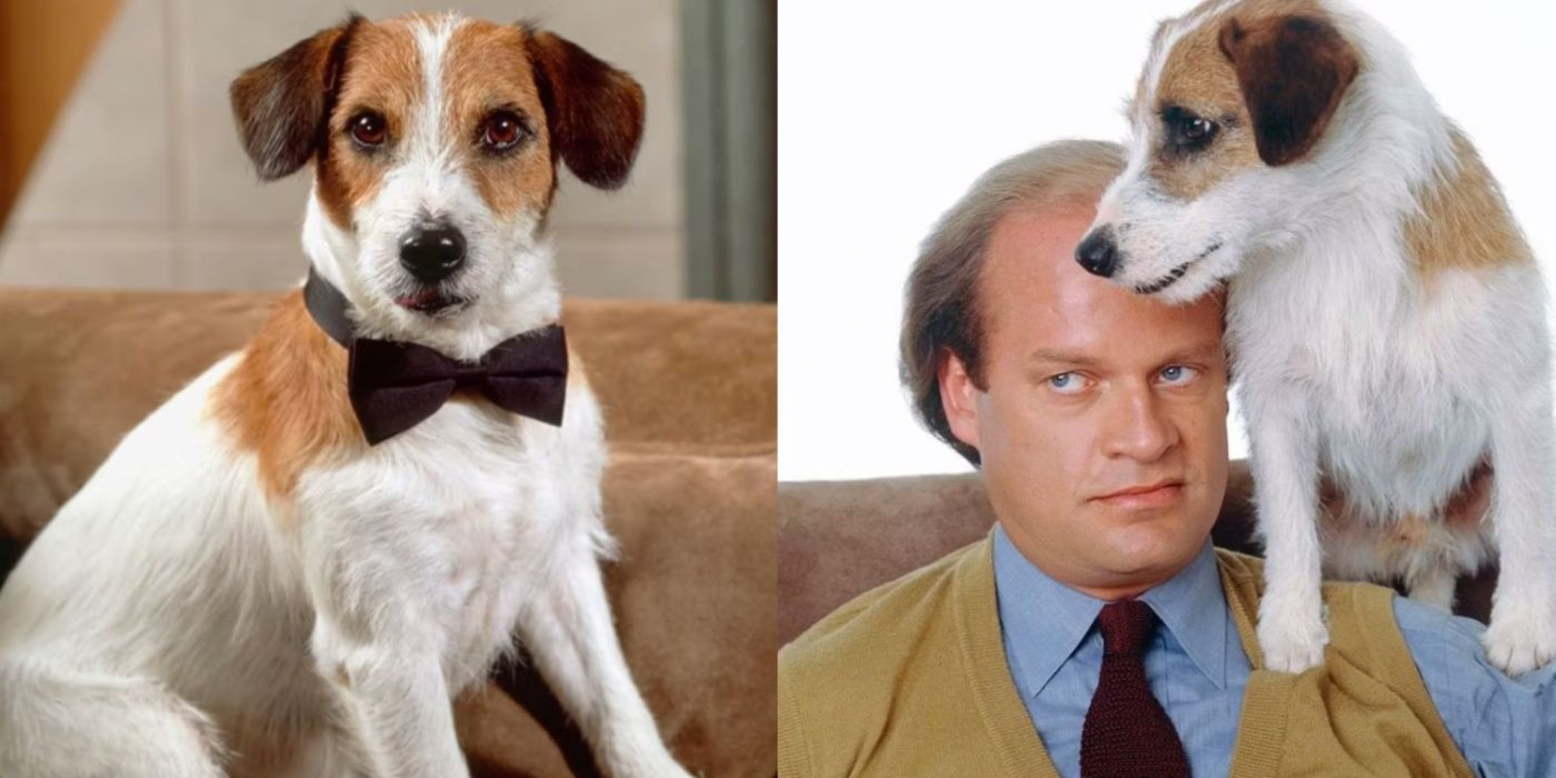 ¿Cuántos perros interpretaron a Eddie en Frasier?
