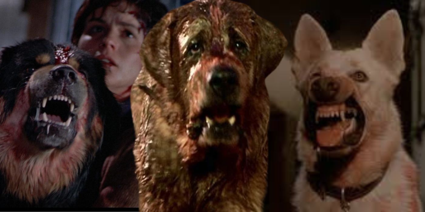 12 mejores películas de Killer Dog, clasificadas