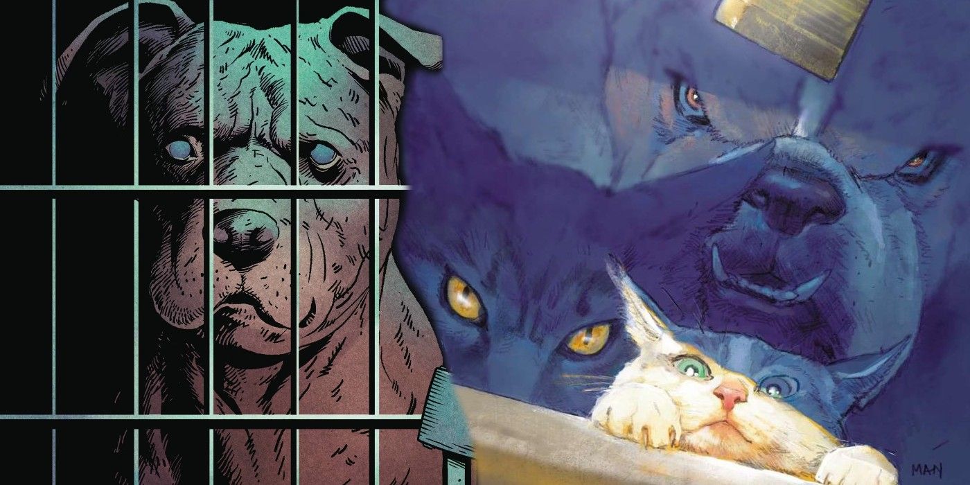 ANIMAL POUND de Tom King deja salir a los perros en una nueva portada variante (exclusiva)