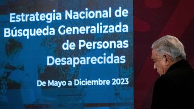 'La desaparición no desaparece por decreto': Martha Beatriz Vega