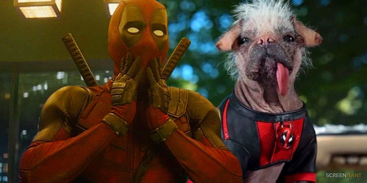 La primera foto oficial de Deadpool 3 publicada en 5 meses revela a Wade Wilson de Ryan Reynolds con Dogpool