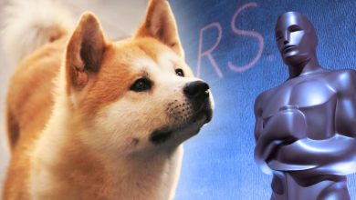 La primera vez que los Oscar nominaron a un perro al mejor guión adaptado