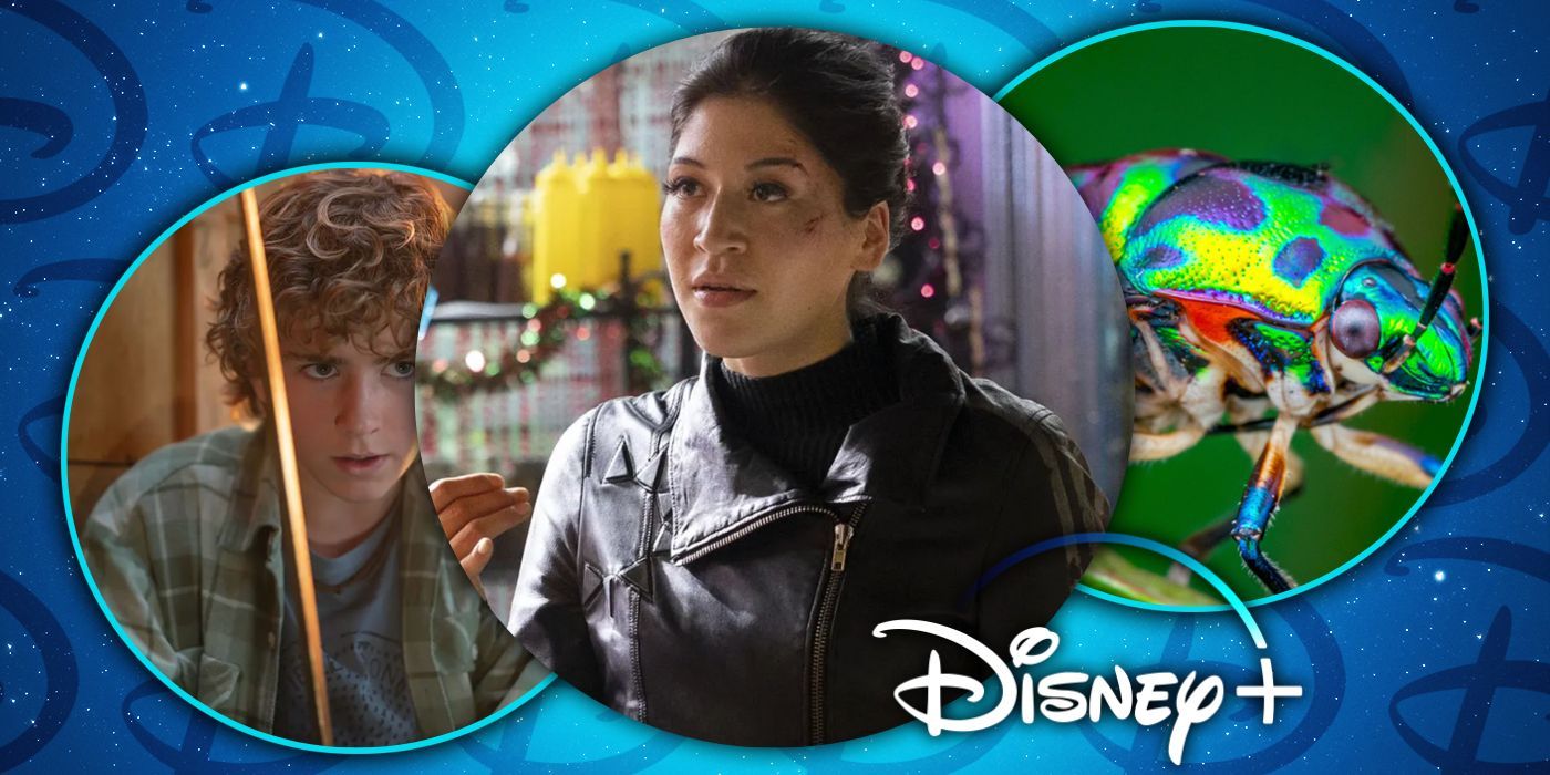Novedad en Disney+: las 24 películas y programas de televisión que llegarán en enero
