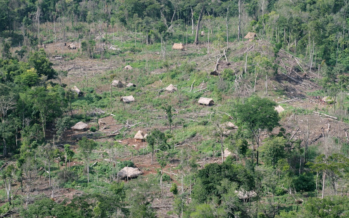 Reserva de la Biósfera Maya en Guatemala se prepara para un año de deforestación sin precedentes