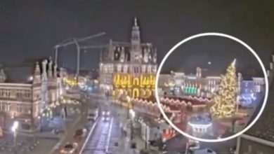 Videos | Árbol de navidad gigante se desploma y mata a mujer en Bélgica