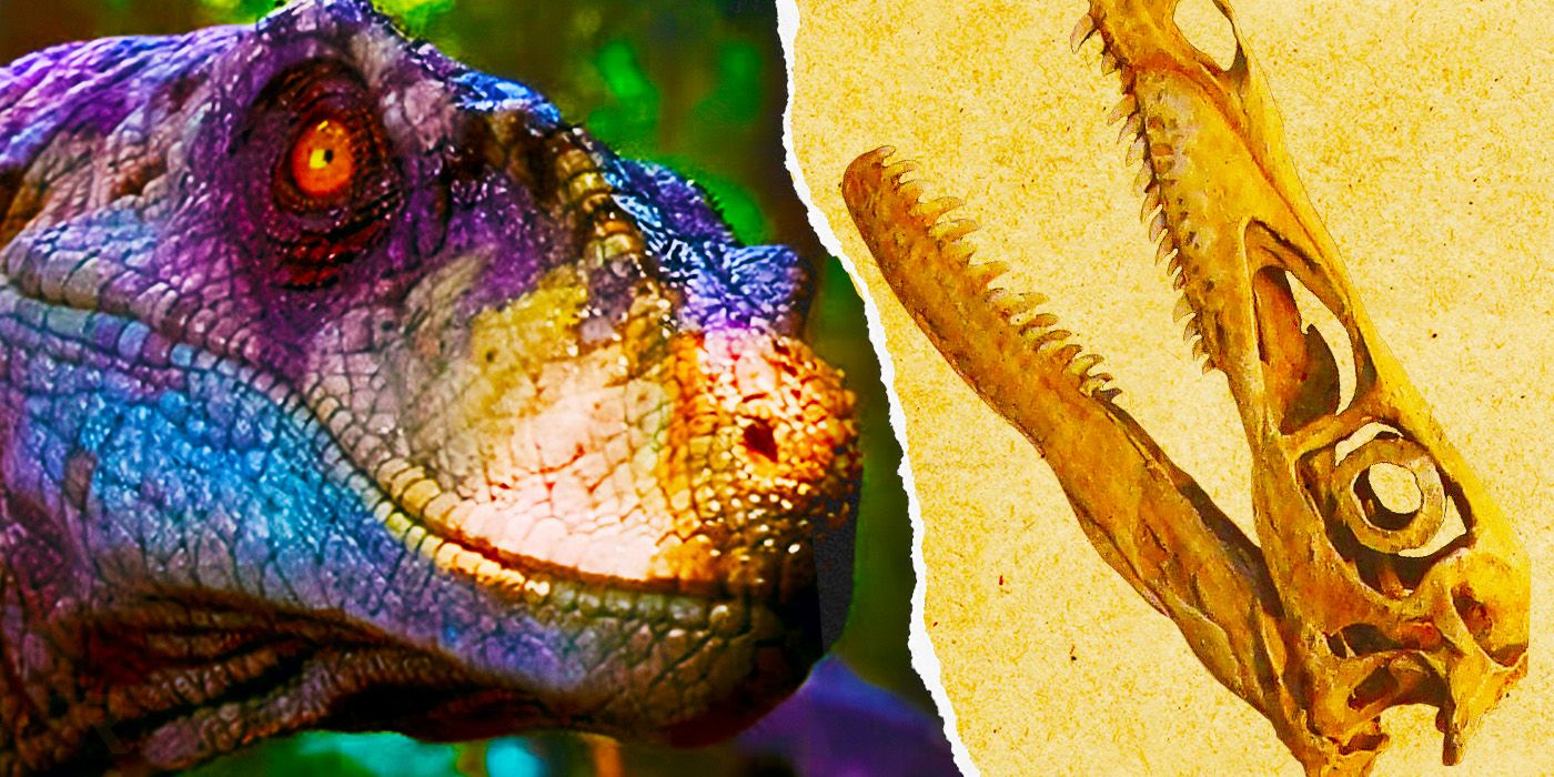 9 dinosaurios de Jurassic Park que eran tremendamente inexactos en comparación con la vida real