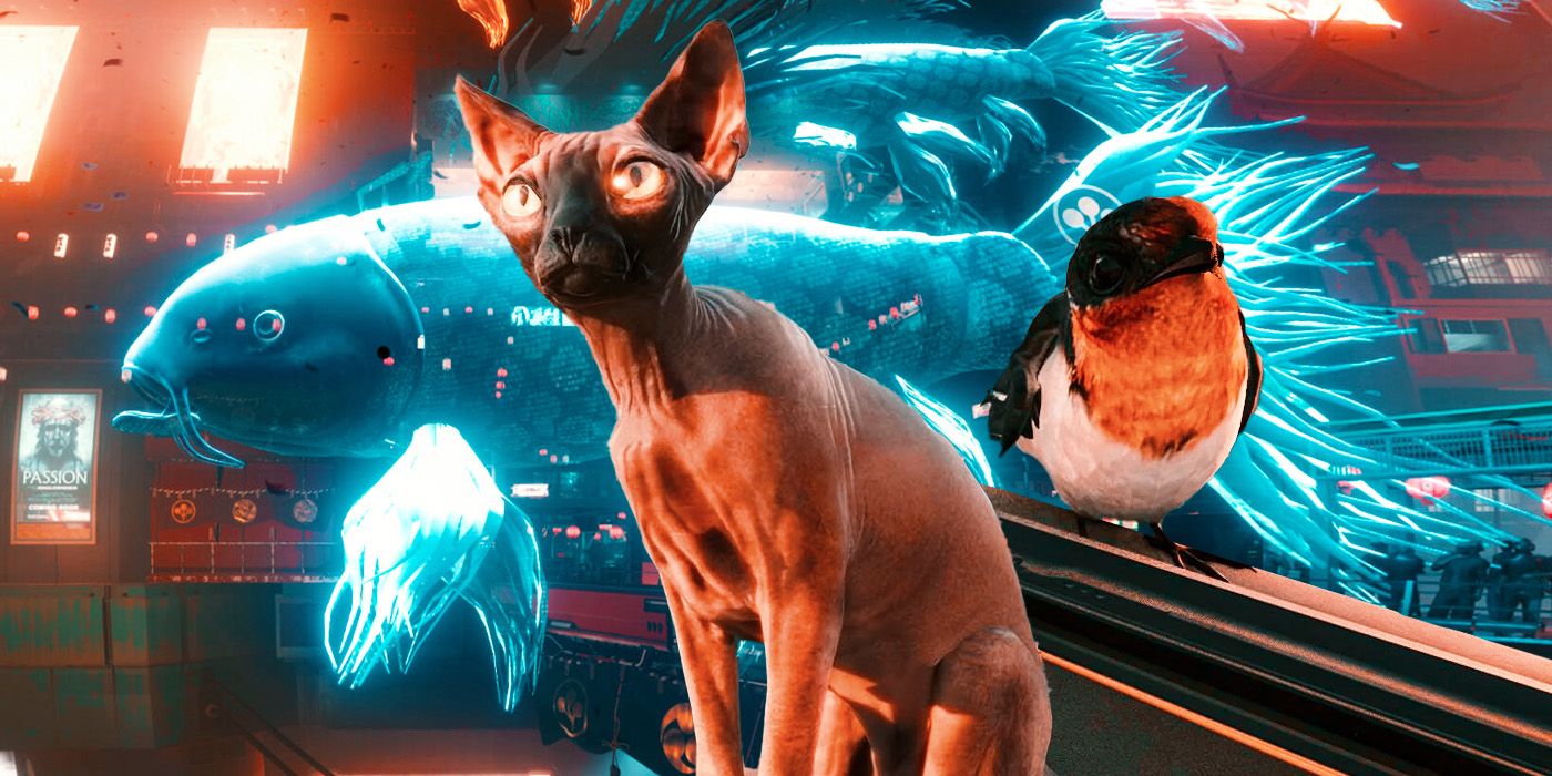 La falta de mascotas en Cyberpunk 2077 tiene sentido, pero es más complicada de lo que crees
