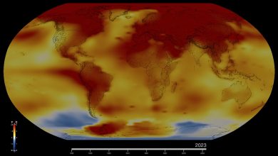 2023 fue el año más caluroso jamás registrado: NASA