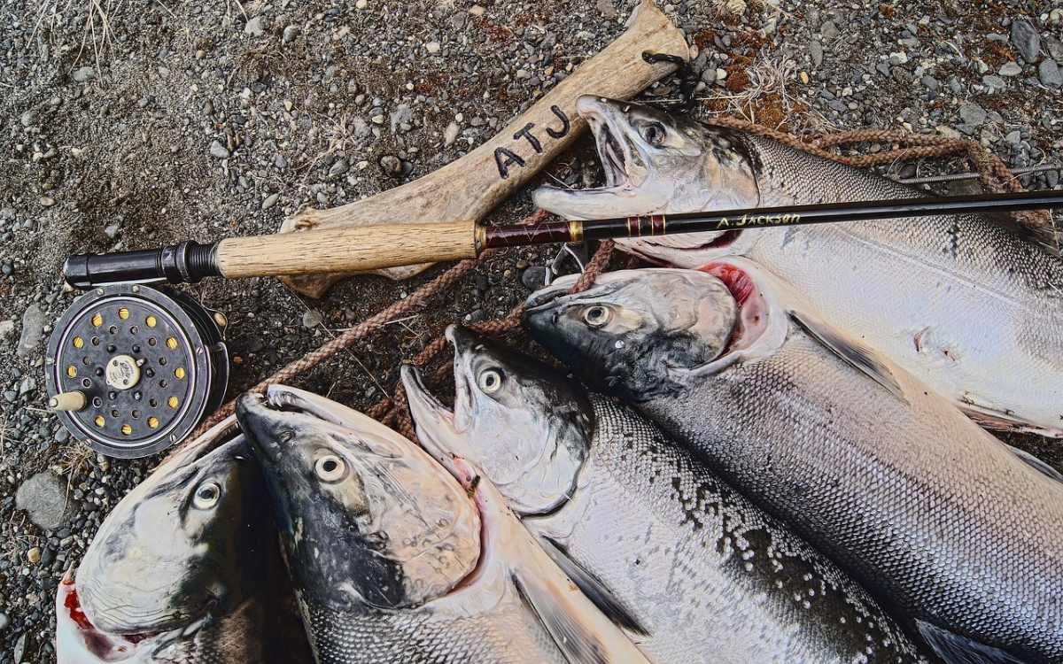 Bruselas acusa a seis empresas noruegas de formar el ‘cártel’ del salmón atlántico