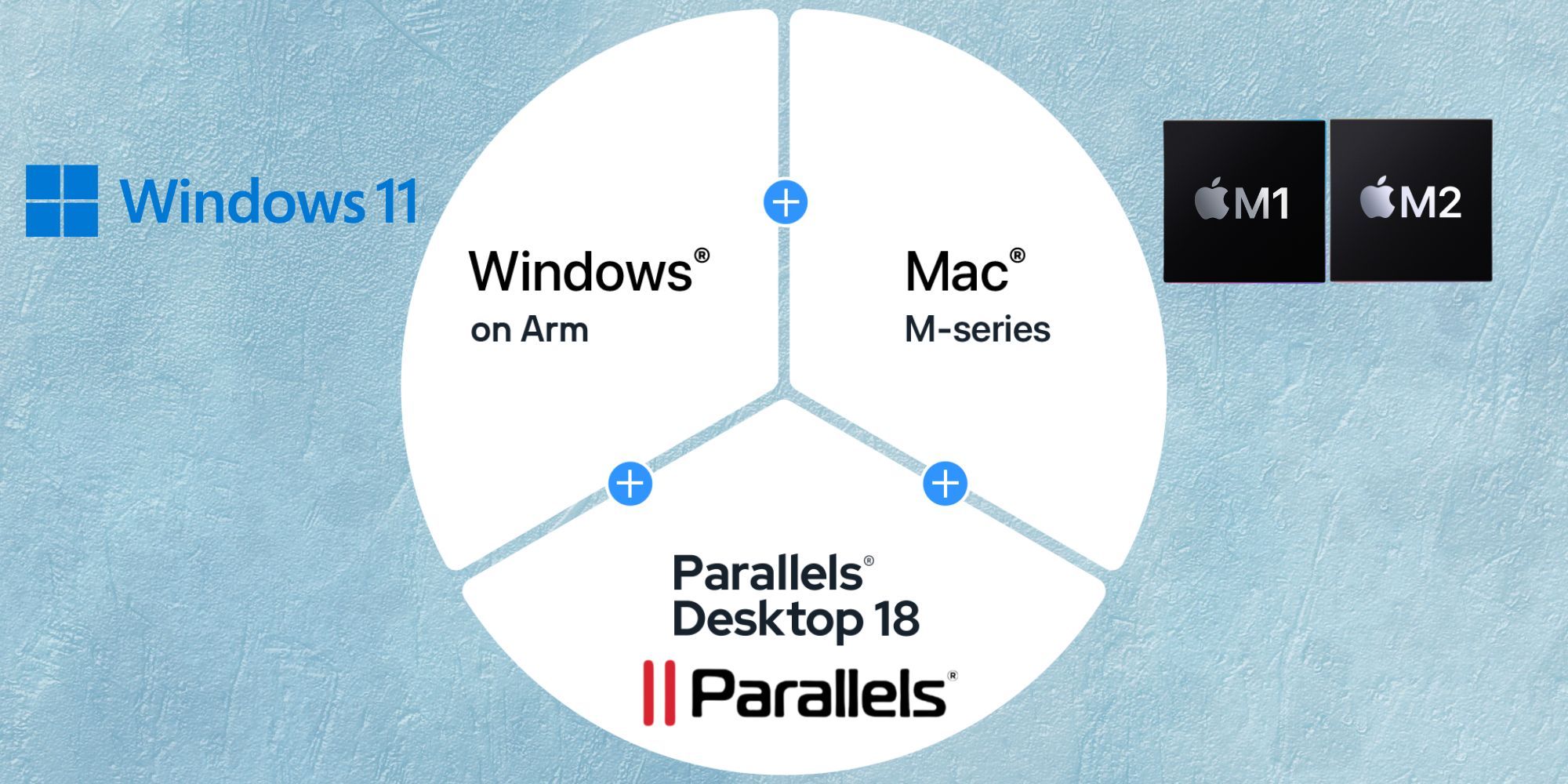 Cómo usar Windows 11 en una Apple Silicon Mac
