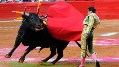 Dictan nueva suspensión provisional de las corridas de toros en CDMX