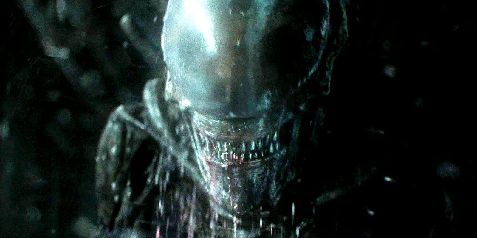 El estado de filmación del programa de televisión Alien después de la interrupción de la producción recibe una actualización alentadora del showrunner