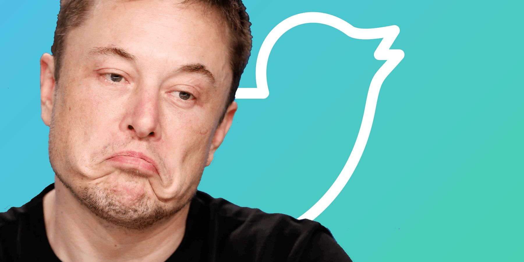 Elon Musk ha olvidado que Twitter no es el producto, sino sus usuarios