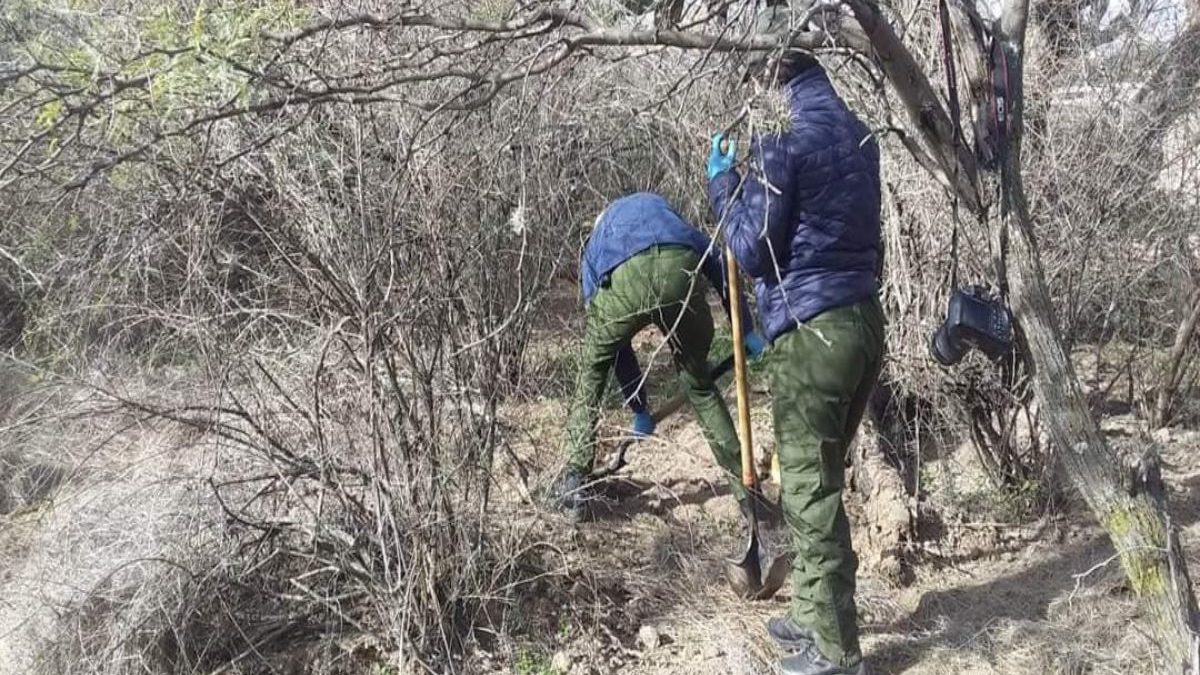 Fiscalía de Zacatecas confirma hallazgo de 10 cadáveres en fosa clandestina