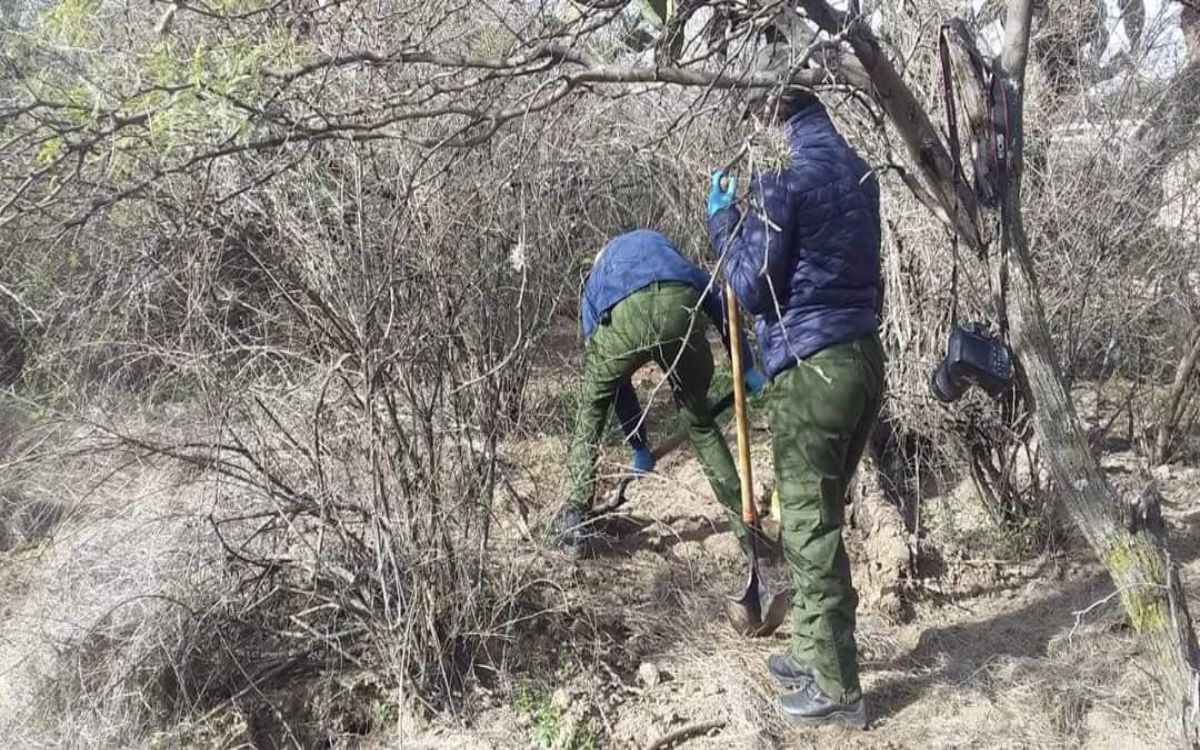 Fiscalía de Zacatecas confirma hallazgo de 10 cadáveres en fosa clandestina