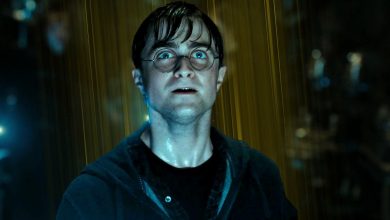 "Harry Potter y el príncipe de la mitad de representación": todos están atrapados (incluso Hedwig y Dobby) en el extraño arte de Harry Potter