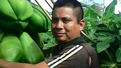 Juez condena a 58 años de cárcel a indígena que se opuso a grupos criminales en Chiapas