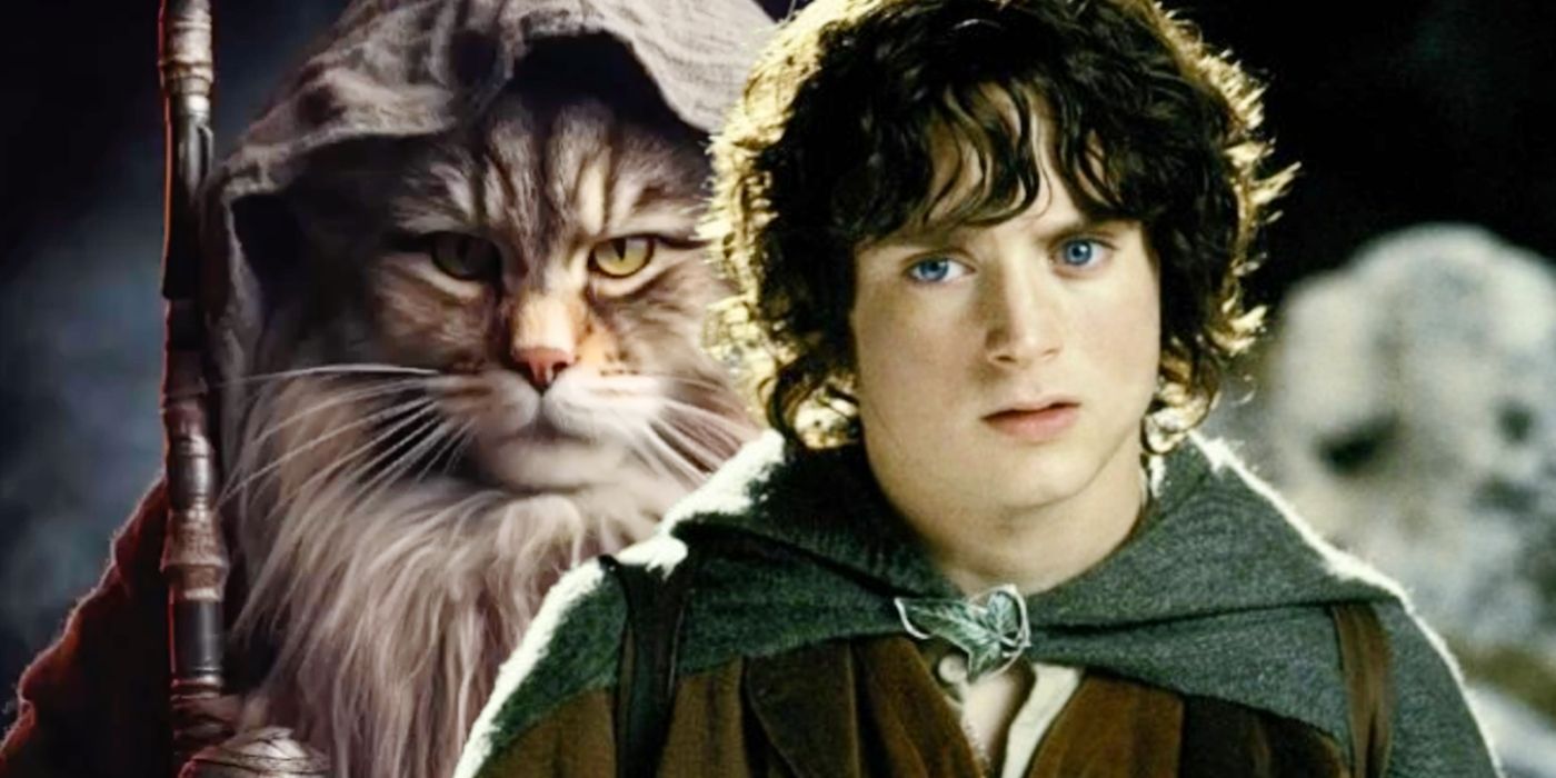 Los personajes de El señor de los anillos se convierten en gatos en el arte felino
