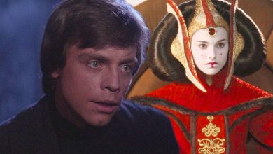 "No tengo ningún recuerdo de mi madre": Luke Skywalker finalmente puede conocer la verdadera historia de Padmé