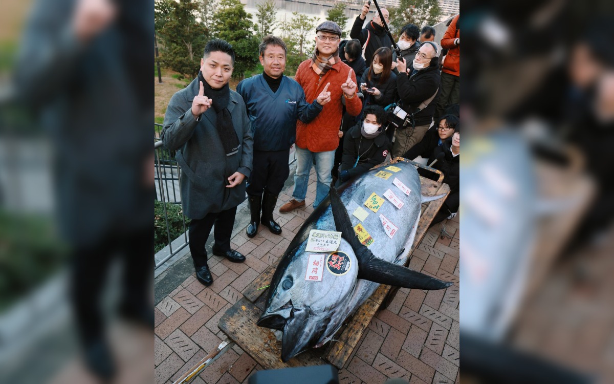 Pagan 787 mil dólares por un atún en Japón, ¿Por qué?